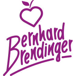 Bernhard Brendinger Logo Original